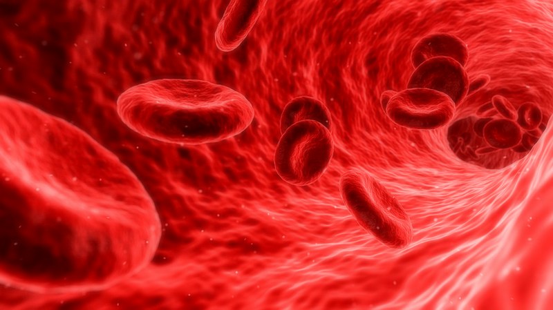 【整体師監修】血流を改善すると科学的に証明されたスーパーフード10個